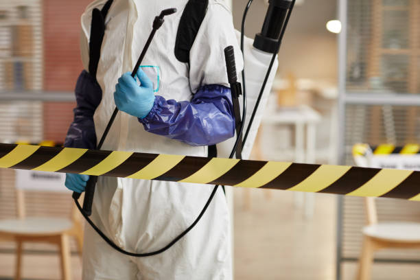 Professional Sewage Cleanup technician working in Mount Airy, MD